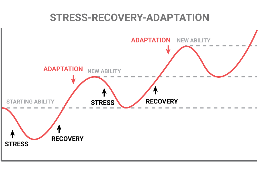 The SRA (Stress, Recovery, Adaptation) Cycle